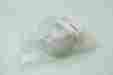 C-221-x Fabco Pancake Cylinder Single Rod Double Acting 1-5 8 Bore 3 4 Stroke
