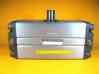 Ncra1bs100-100c Smcrotary Actuator