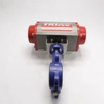 Triad Actuator With 3" Centerline AKSD2C100F Butterfly Valve 2R200SR. Fixed Price $350.00.