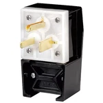 Hubbell Wiring Device-kellems HBL9368 Straight Blade Plug, 6-50P, A, 250V. Fixed Price $89.17.