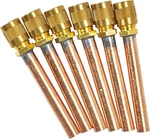 And Valve CD8405 Cap Core, 6-PACK. Fixed Price $33.77.