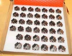 (lot Of 40) New, Authentic Amphenol Nickel RJ-45 Ethernet Modular Pcb Connectors. Fixed Price $82.00.